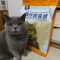 明仔团猫粮！！流浪猫的专属猫粮
