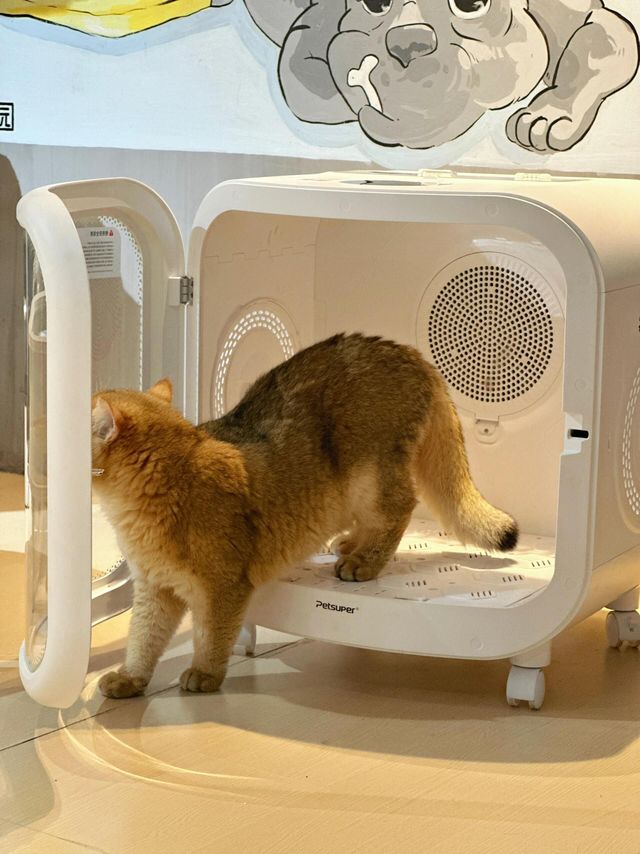 我天！它真的好离谱……猫咪烘干机神器