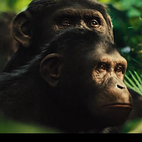 电影·生活——《猩球崛起》