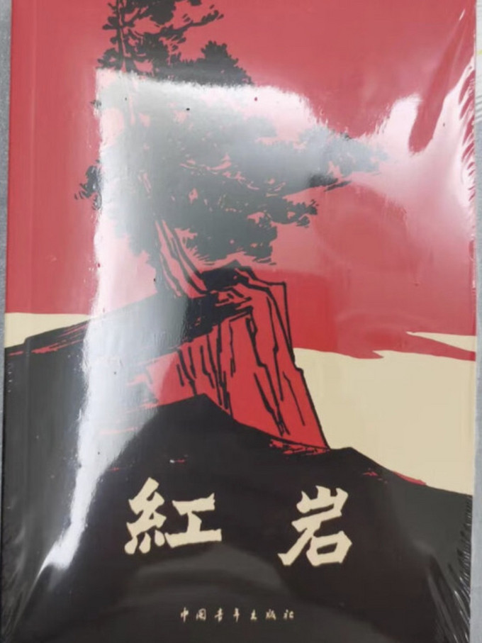 中国青年出版社小说