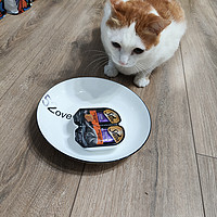 希宝营养餐盒，猫猫喜欢还吃精光 