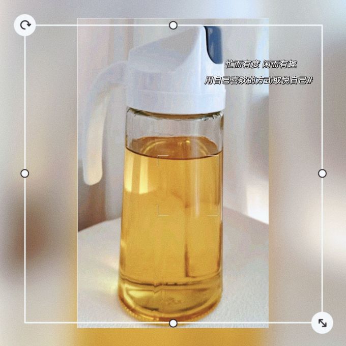 双枪调料器皿