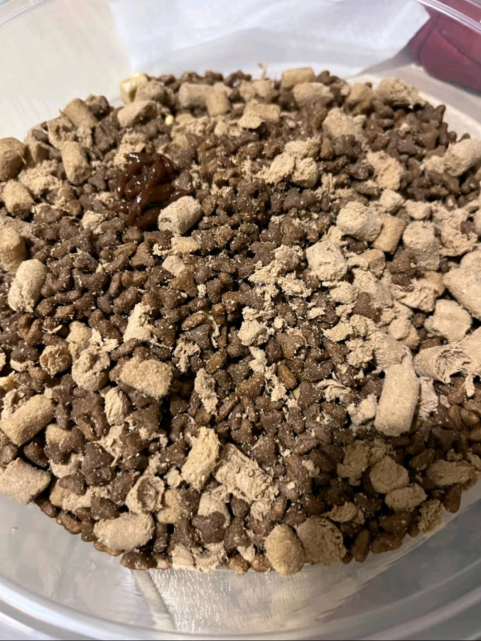 喔喔猫咪干粮