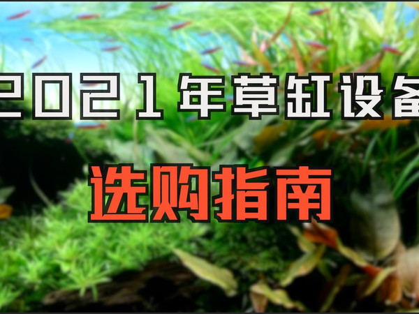 [全网最全]保姆级教你从0打造属于自己的水草缸  设备篇合集