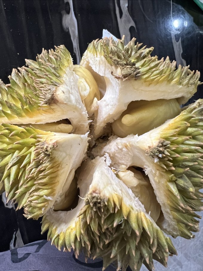 榴小肥榴莲