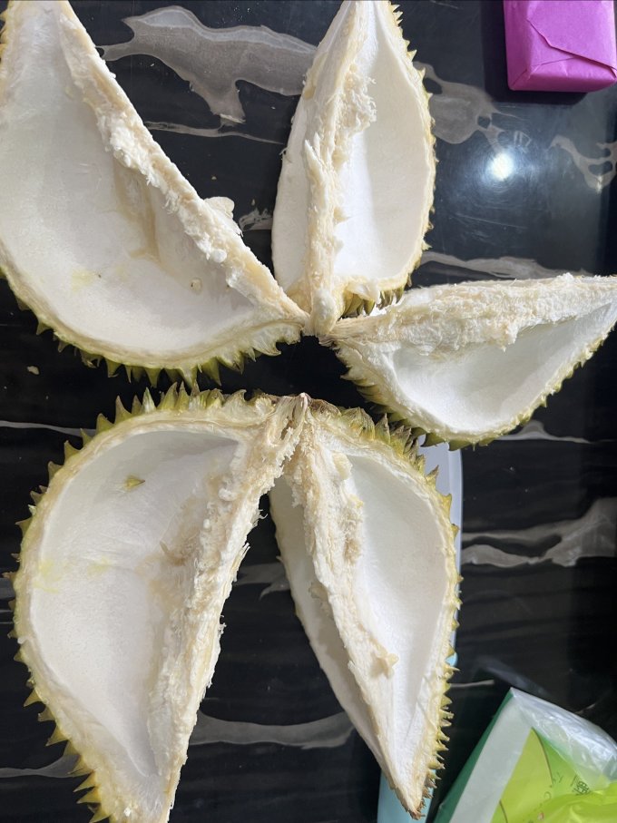 榴小肥榴莲