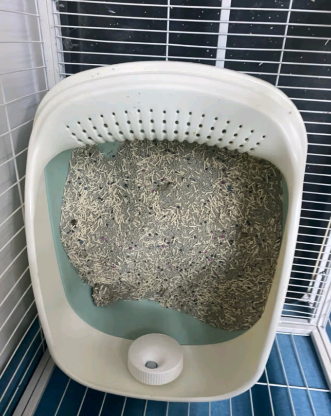 沃趣猫砂
