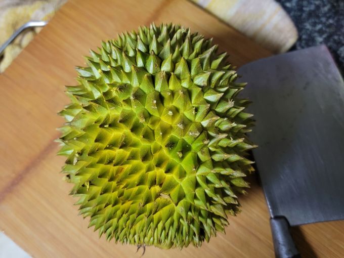 时茂榴莲