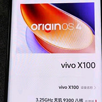 vivo X100 12GB+256GB 星迹蓝 蓝晶×天玑9300 5000mAh蓝海电池 蔡司超级长焦 120W双芯...