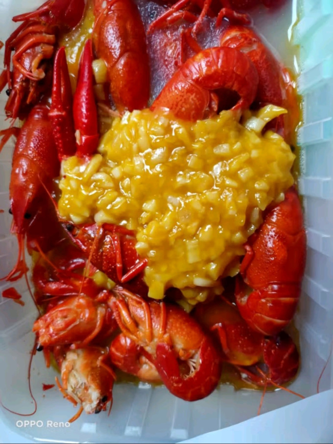 洪湖诱惑虾类