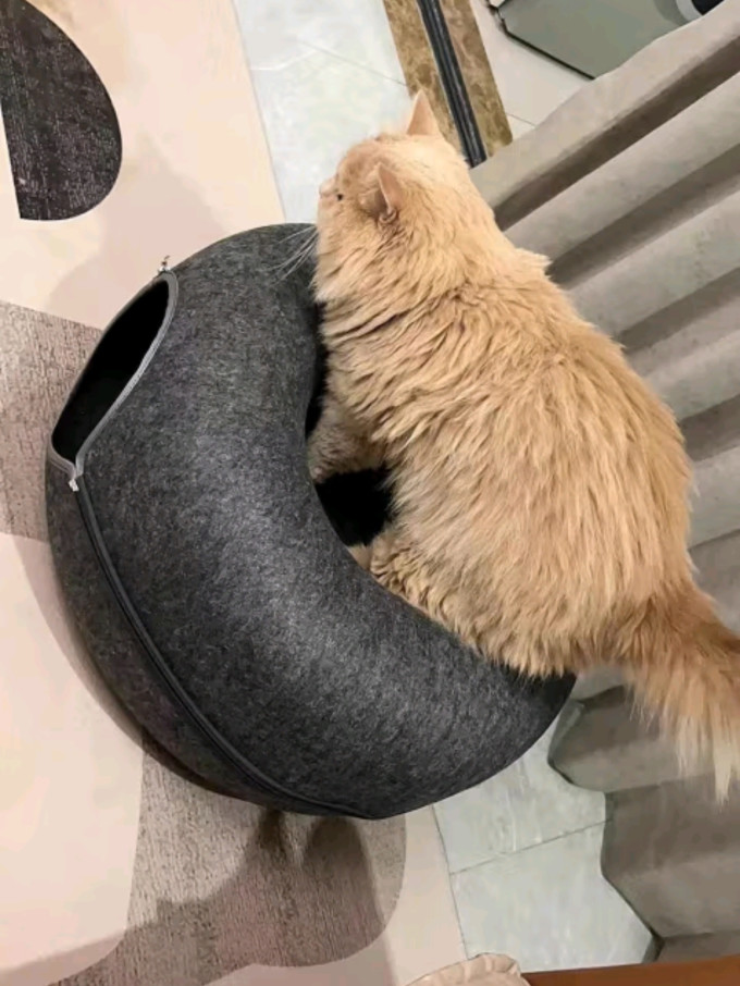 御舵通用猫狗窝