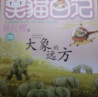 《大象的远方》