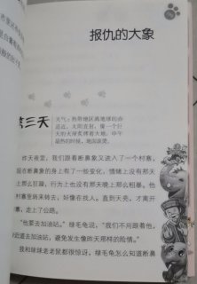 《大象的远方》