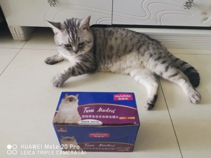 麦富迪猫咪干粮