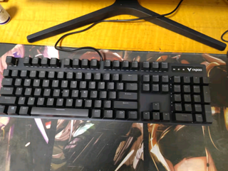 雷柏（Rapoo） V500PRO 有线背光机械键盘 104键全尺寸游戏电竞 黑轴