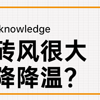 家装经验谈 篇一百六十三：【那个胖师傅】关于柔光砖，我有一些建议不知当讲不当讲