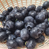 你家的蓝莓好不好吃？