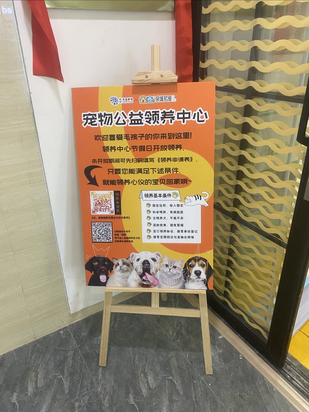 宠物领养