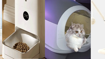 生活娱乐 篇二十五：养猫必备产品攻略：打造猫咪舒适生活家园