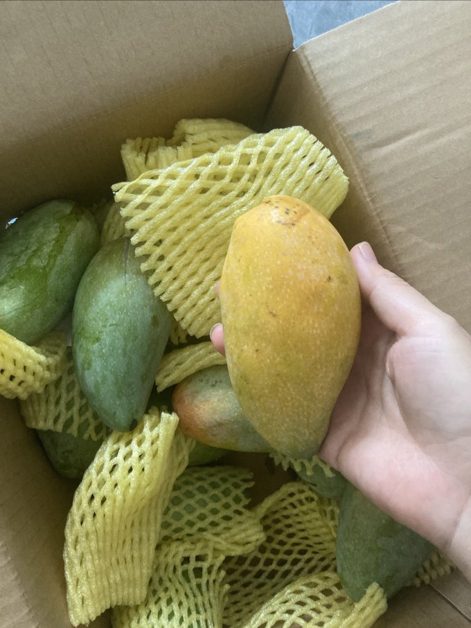 京鲜生芒果