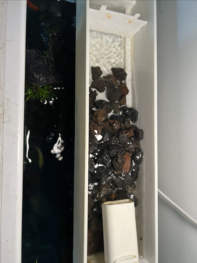 金利佳其他水族配件