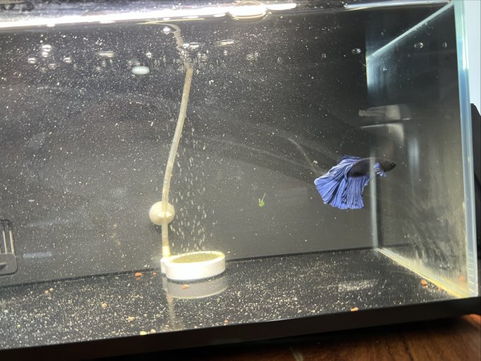 米家智能鱼缸/水族箱