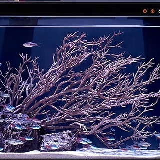 💦 鱼缸怎么选?看这篇,拒绝做鱼盲!💦🐠