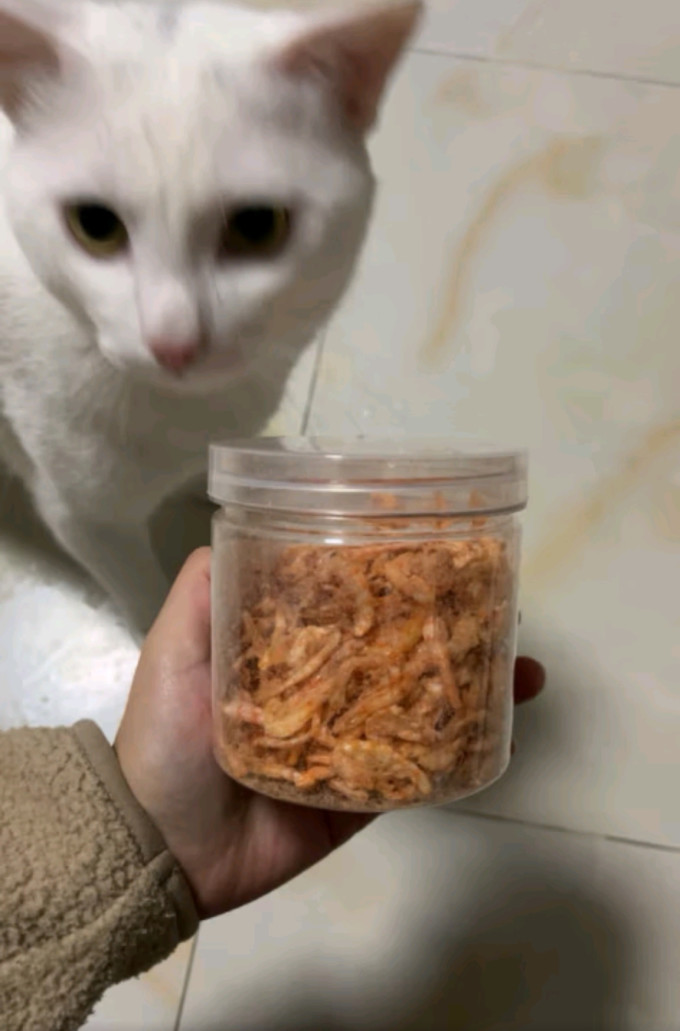 养只宠物猫咪零食罐/妙鲜包