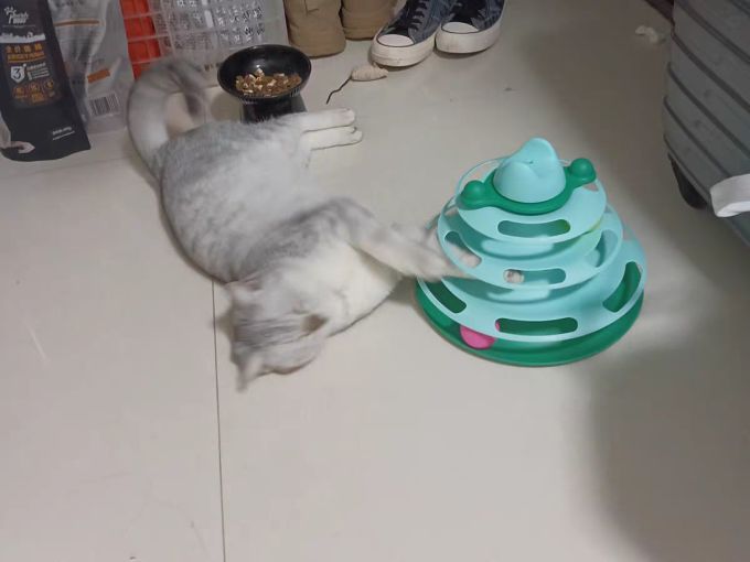 欢宠网猫玩具