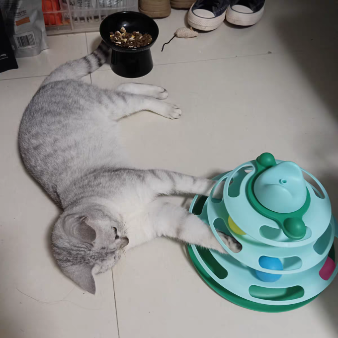 欢宠网猫玩具