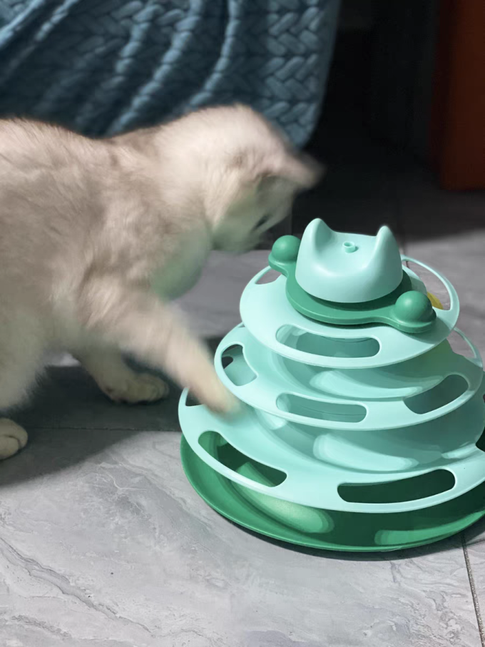 欢宠网猫玩具