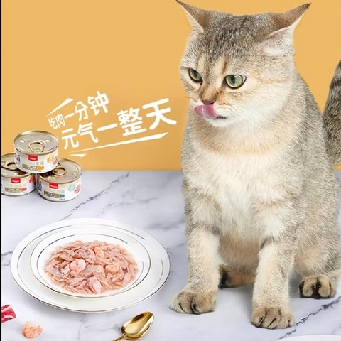 猫奴们看过来！猫罐头挑选指南来啦！