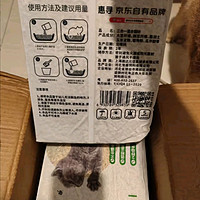 💫 惠寻京东自营，品质之选！活性炭原矿膨润土猫砂，让猫咪爱上如厕时光！💫