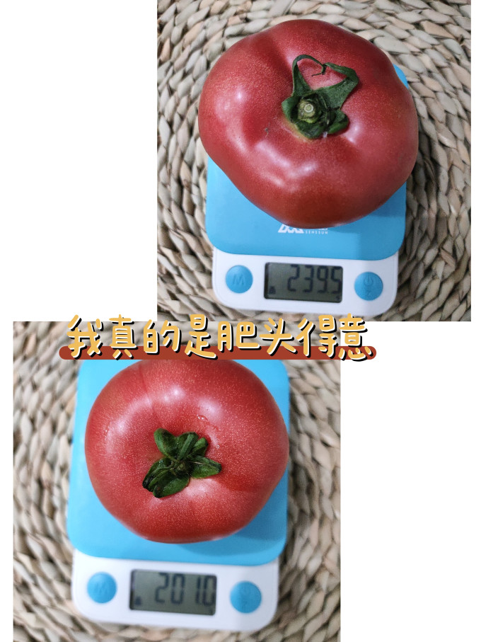 蔬菜