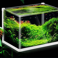 这款小鱼缸不仅适合养金鱼，还能够制作各种水草植物