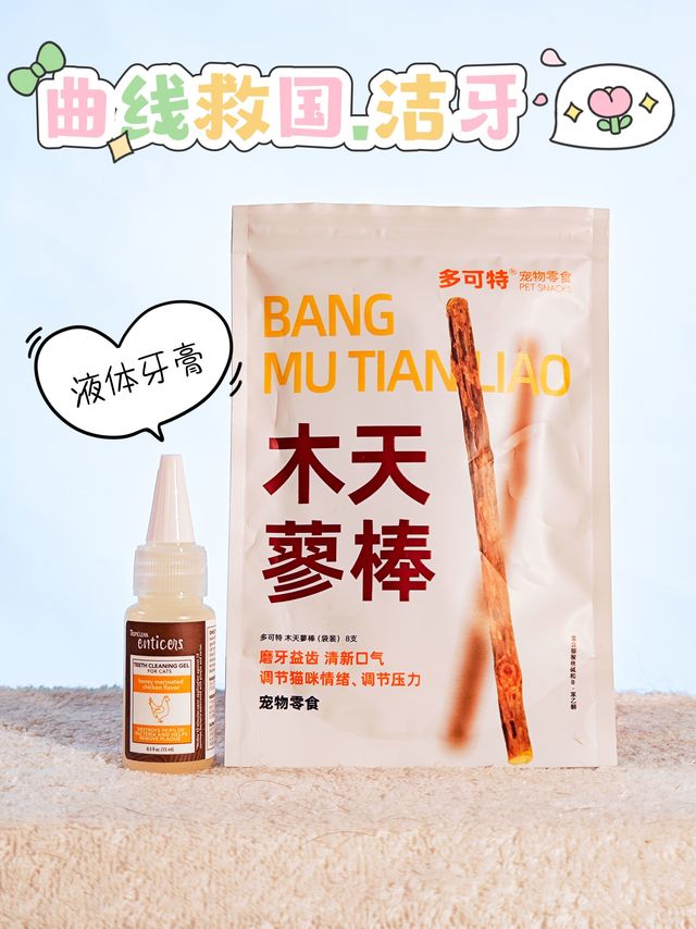 曲线救国洁牙大法～木天蓼+液体牙膏，让猫咪自己刷牙！