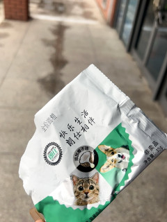 投喂流浪猫先找全价猫粮