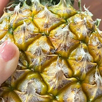 京鲜生 香水菠萝 净重4.5-5斤 单果750g+ 2-3粒 源头直发