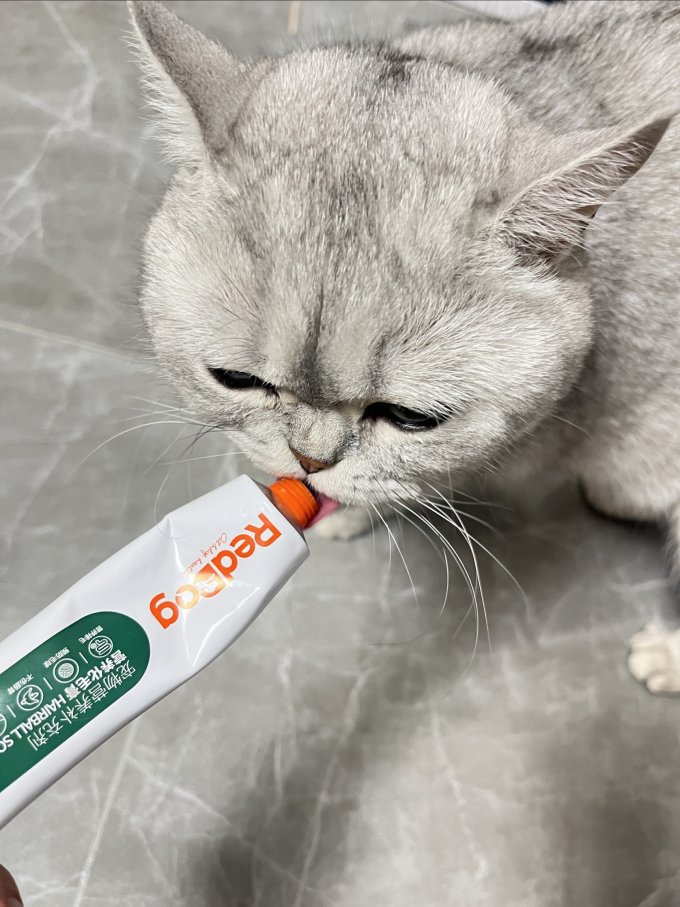 红狗宠物肠胃调理