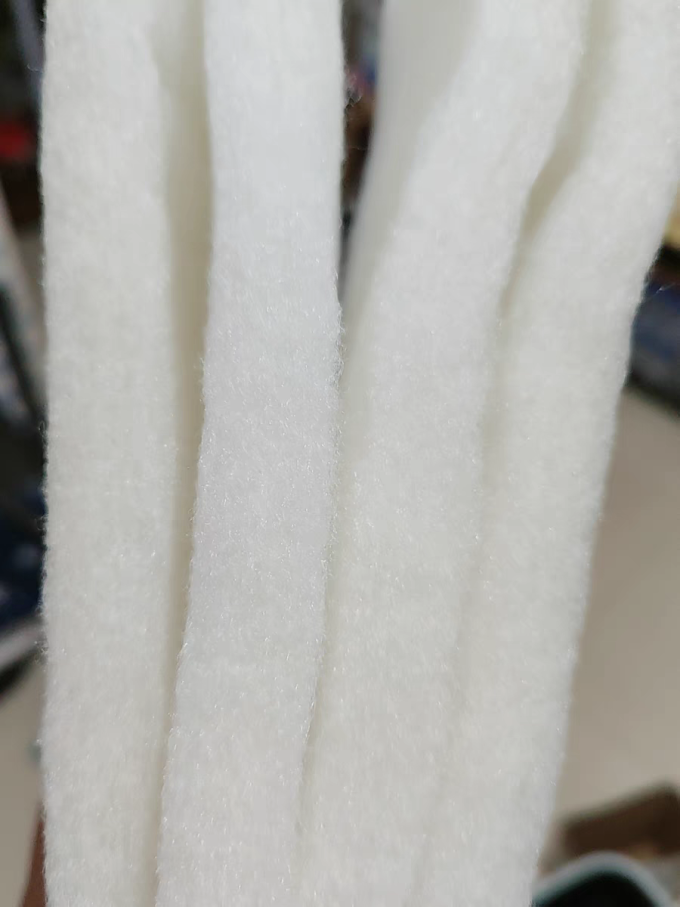 宠物用品