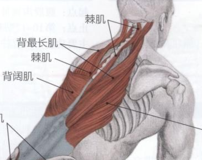 迪卡侬护腰