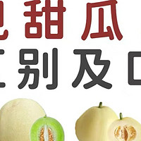 16种顶级甜瓜大比拼！吃瓜群众的“鉴别宝典”来啦！