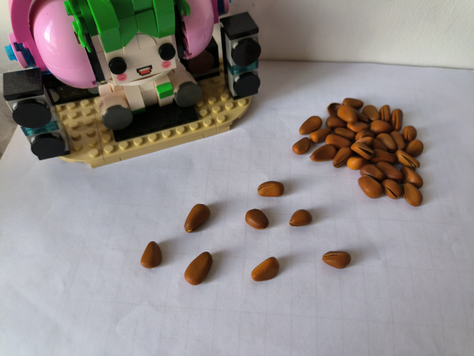 洽洽坚果炒货