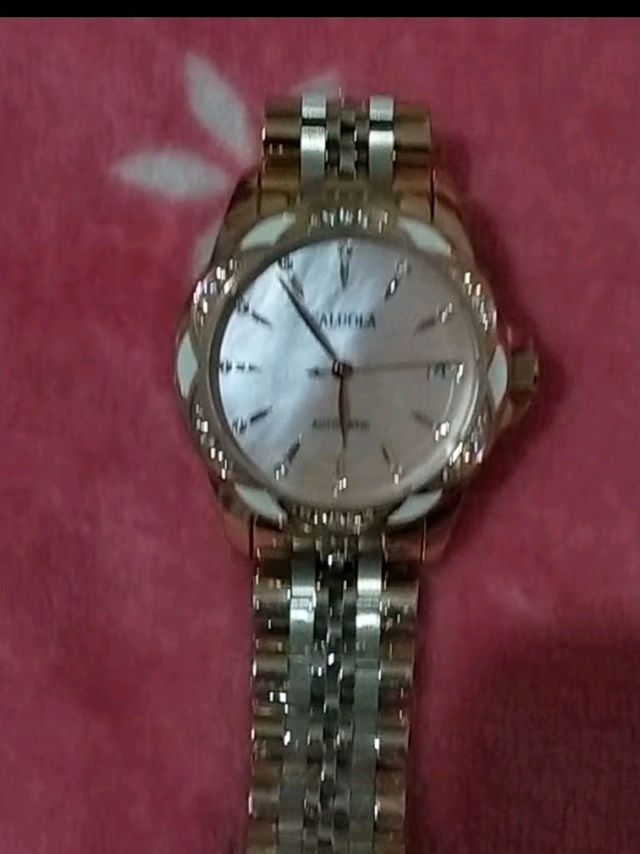 卡罗莱（CALUOLA）女表全自动机械小绿表时尚女士手表防水皮带精钢陶瓷