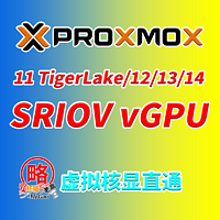 Intel 11(Tigerlake)/12/13/14代SRIOV vGPU虚拟核显直通应用