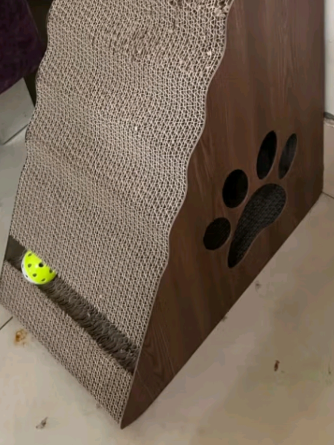 梵都宠舍猫抓板