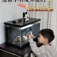 客厅布置|小米鱼缸么真的太适合新手了