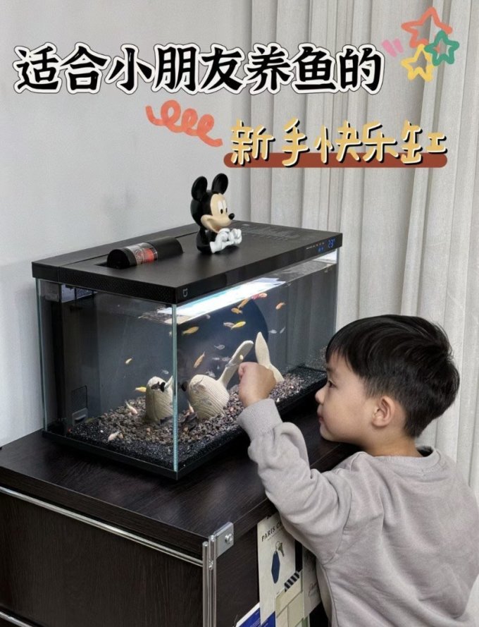 鲸鱼水族