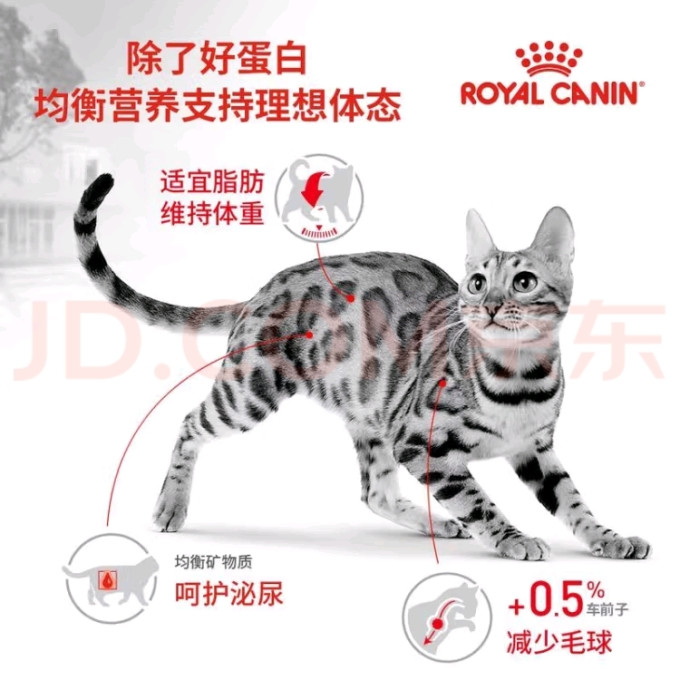 皇家猫咪干粮