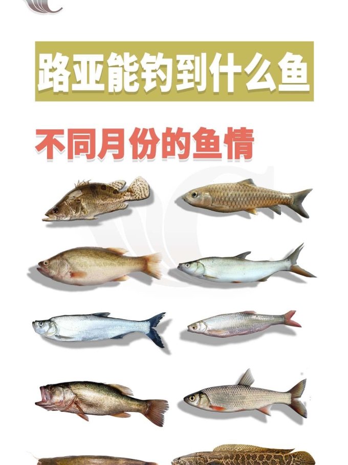 垂钓用品